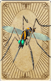 Cloning Mosquito Card