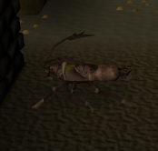 Cockroach worker