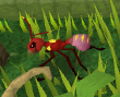 Giant ant soldier