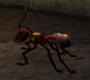 Giant ant worker