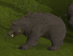 Grizzly bear (level 40)