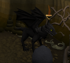 Baby black dragon