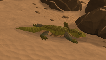 Desert lizard (level 63)